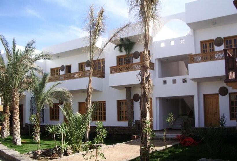 اتاق سوپریور خانوادگی, Star Of Dahab