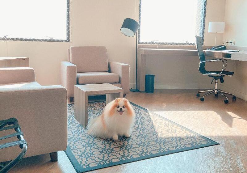 스위트, Staybridge Suites São Paulo, An Ihg