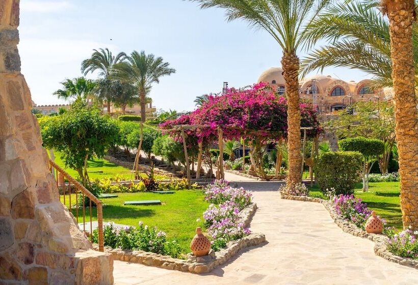 اتاق لوکس با چشم‌انداز دریا, Utopia Beach Club