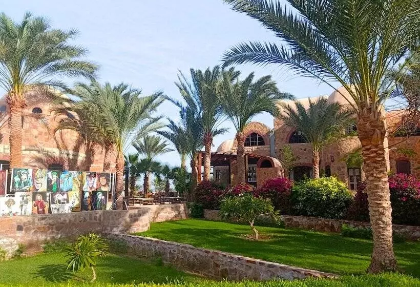 اتاق لوکس با چشمانداز دریا, Utopia Beach Club