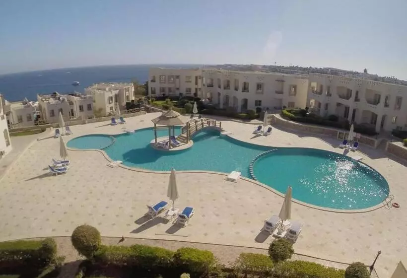 اتاق یک تخته با چشم‌انداز استخر, Sharks Bay Oasis