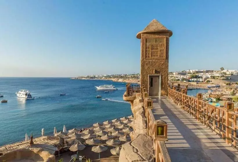 اتاق یک تخته با چشم‌انداز استخر, Sharks Bay Oasis