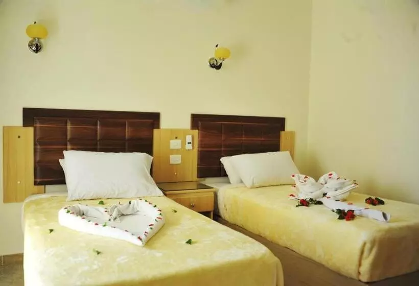 اتاق استاندارد با چشم‌انداز استخر, Sharks Bay Oasis