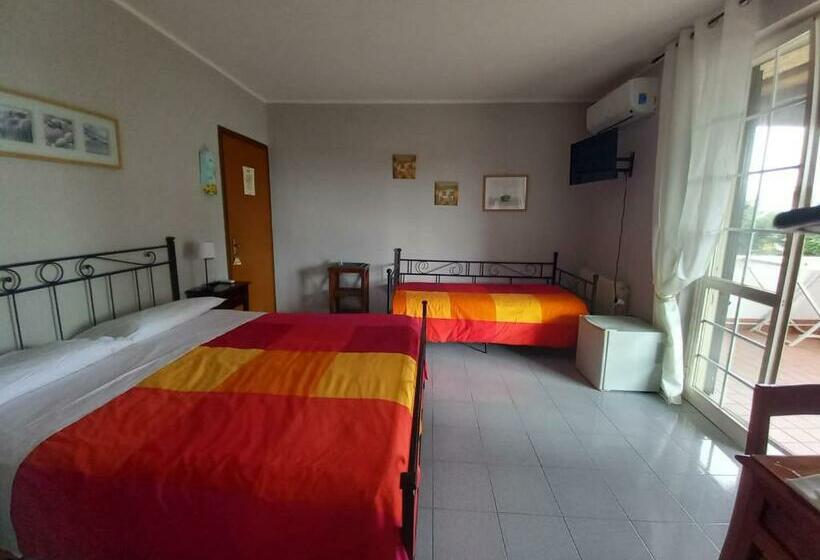 スタンダードルーム, Il Grifo