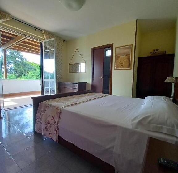 Номер Стандарт, Il Grifo