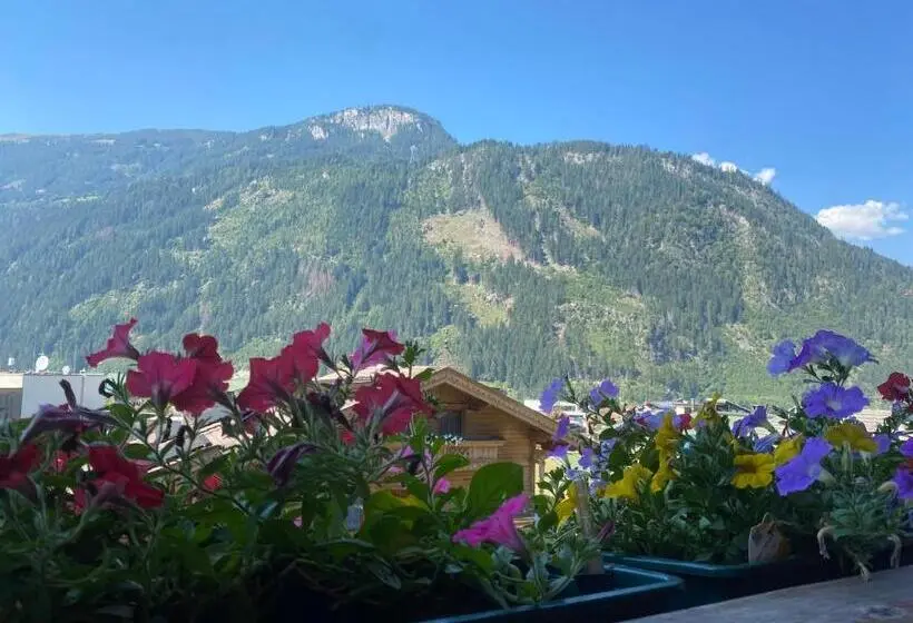اتاق استاندارد, Pension Schwemberger Ohne Frühstück