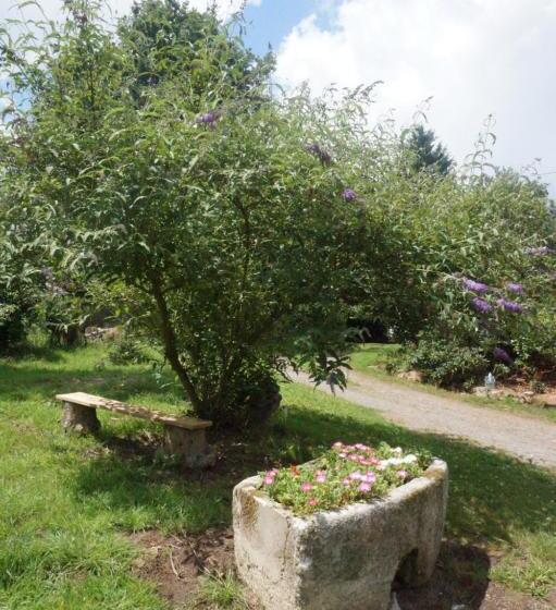 ファミリールーム, Maison Du Murphy