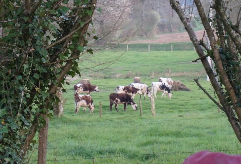 スタンダードルーム, Maison Du Murphy