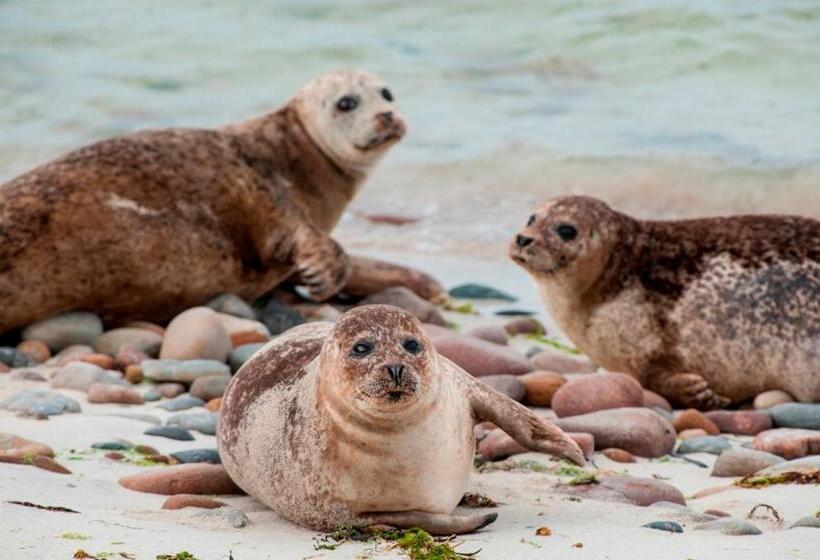 آپارتمان 1 خوابه با چشمانداز دریا, Fara 2 Room, 1 Bedroom B&b Private Suite