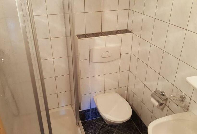 1 Sovrums Lägenhet, Bio Berghof