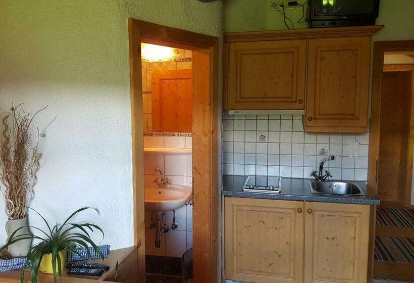 1 Sovrums Lägenhet, Bio Berghof