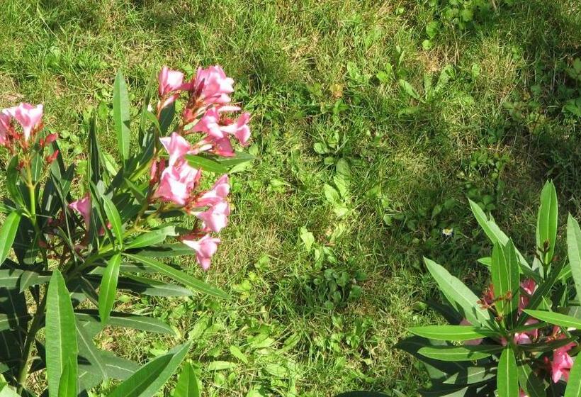 חדר סטנדרט חדר אמבטיה משותף, B&b Il Glicine Di Basiglio