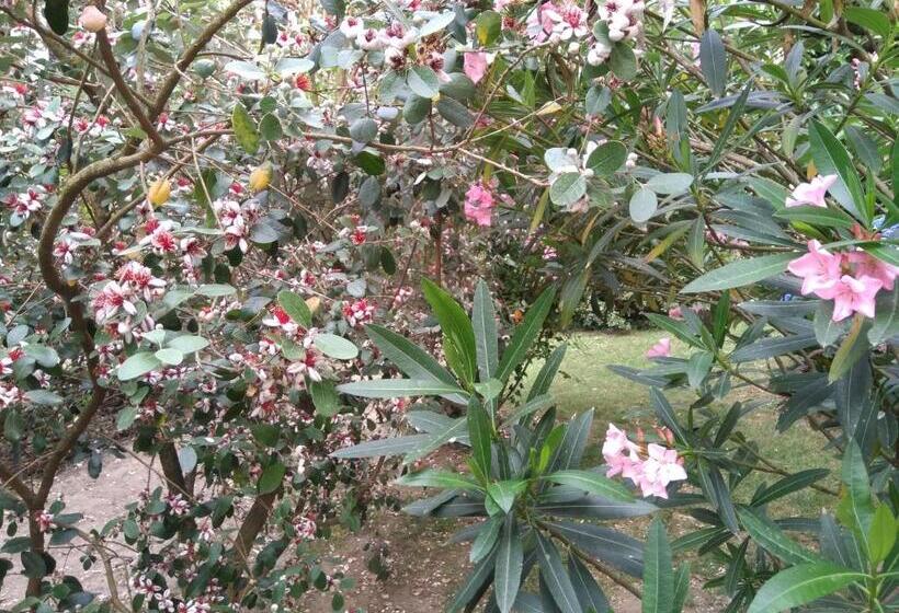 חדר סטנדרט חדר אמבטיה משותף, B&b Il Glicine Di Basiglio