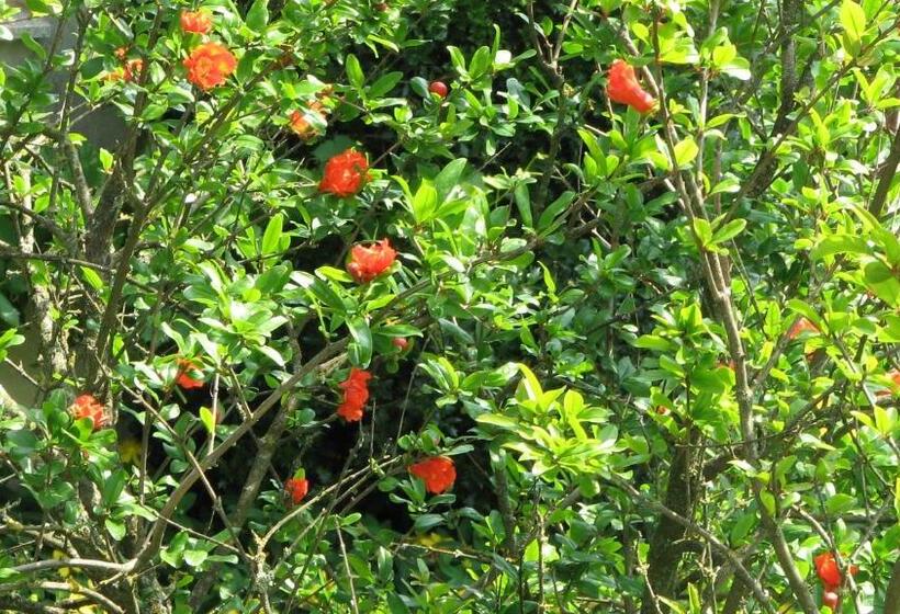 Standard room with outdoor bath, B&b Il Glicine Di Basiglio
