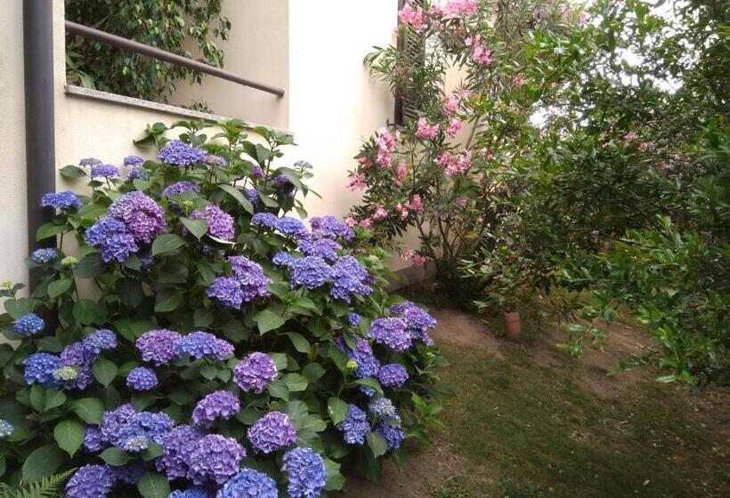 חדר סטנדרט חדר אמבטיה משותף, B&b Il Glicine Di Basiglio