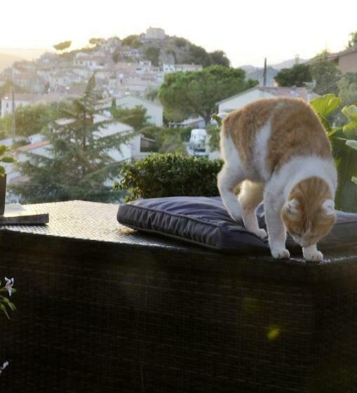 Семейный Номер Вид на Сад, Au Jardin Des Couleurs