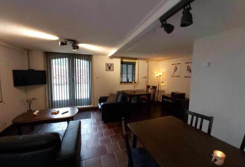 דירת חדר עם טרסה, De Hammerhoeve