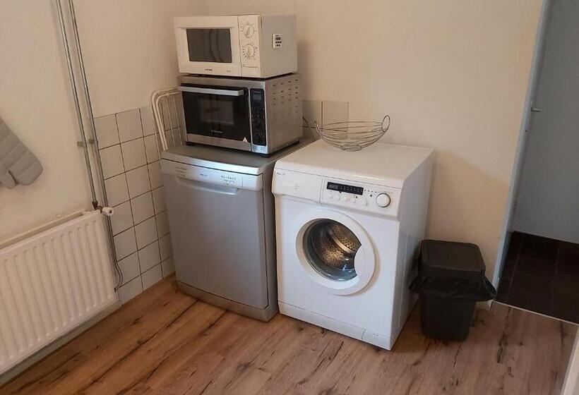 דירת חדר עם טרסה, De Hammerhoeve