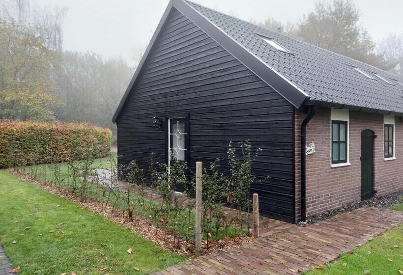 Апартаменты 1 Спальня с Террасой, De Hammerhoeve