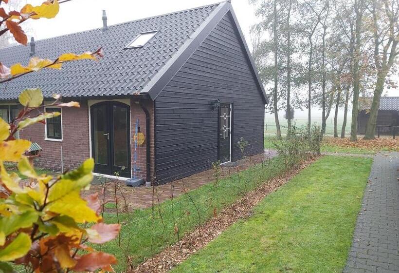 דירת חדר עם טרסה, De Hammerhoeve