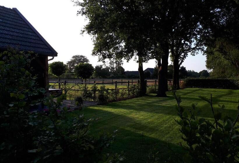 דירת חדר עם טרסה, De Hammerhoeve