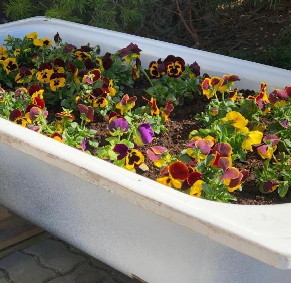 패밀리 룸, Frühstückspension Eichberger