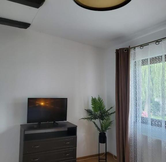 带花园景观的标准工作室, Hanu Lu Mos Opinca