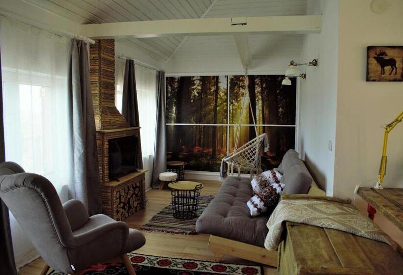 家庭洋房, Hanu Lu Mos Opinca