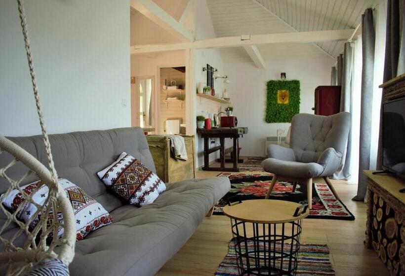 家庭洋房, Hanu Lu Mos Opinca