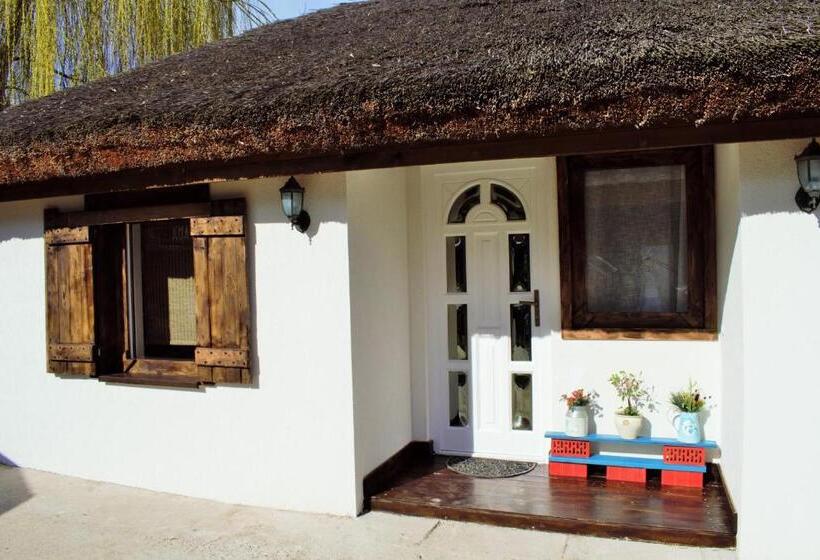 家庭洋房, Hanu Lu Mos Opinca