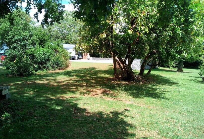 デラックスルーム, Les Vieilles Vignes