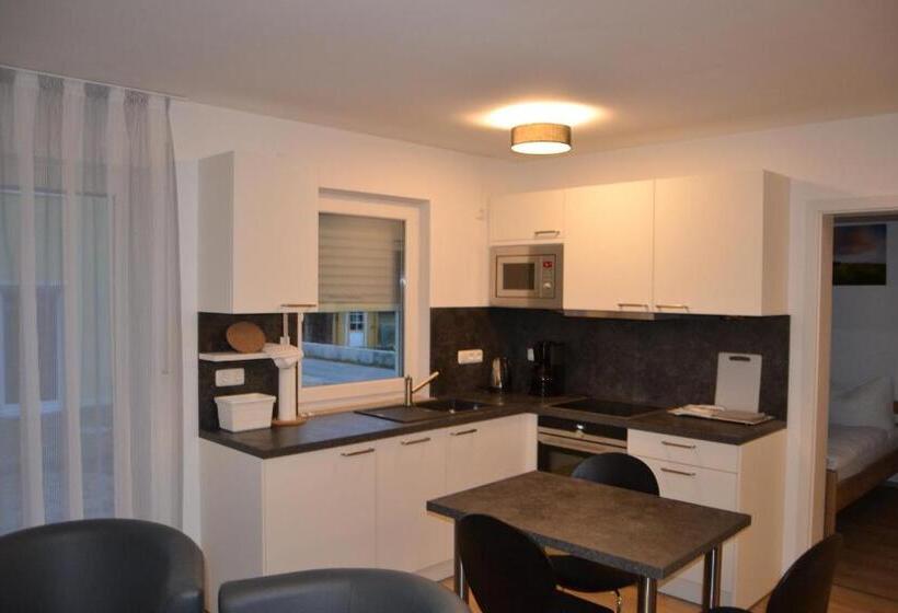 Апартаменты 1 Спальня с Террасой, Aparthotel Sebastian