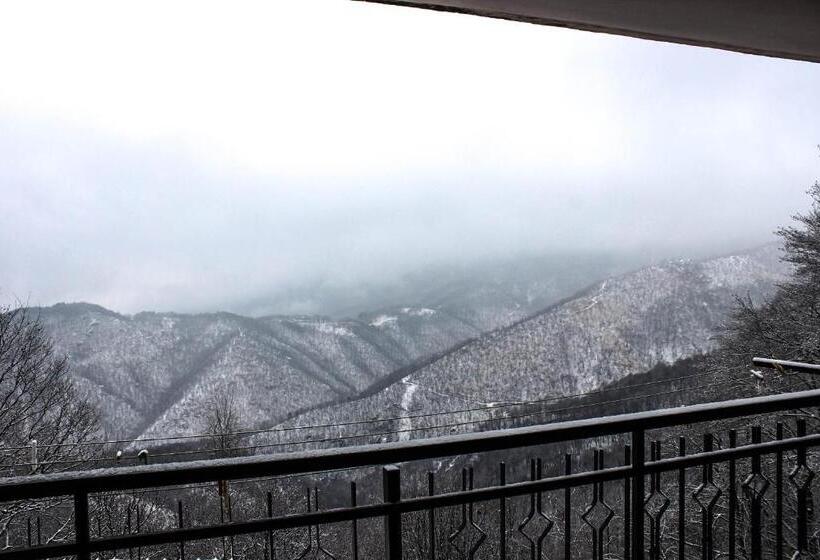 חדר סטנדרט חדר אמבטיה משותף, B&b Pian Savin