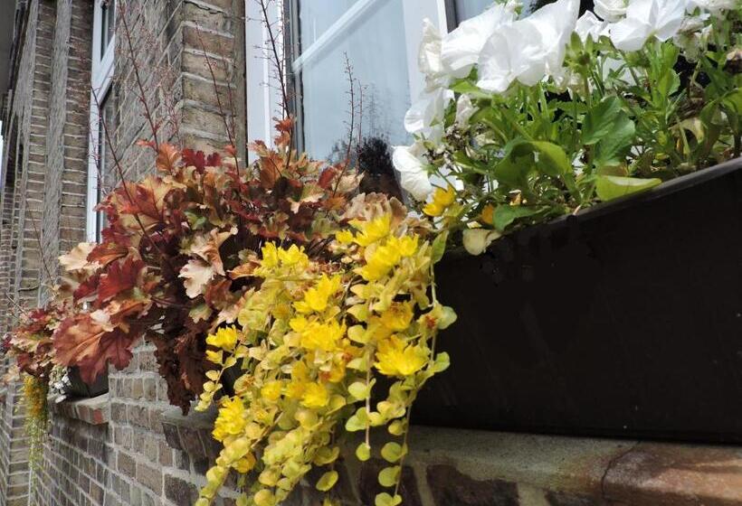 Номер Стандарт, Altes Pastorat