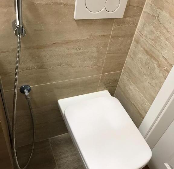 １ベッドルームのデラックスアパートメント, Centercity Apartments