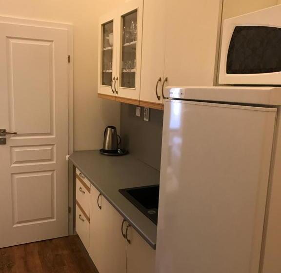 شقة ديلوكس غرفة واحدة, Centercity Apartments