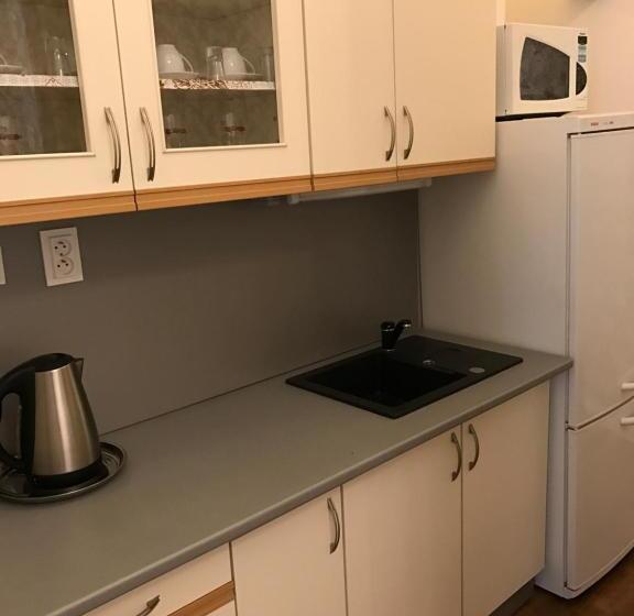 شقة ديلوكس غرفة واحدة, Centercity Apartments