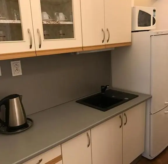 １ベッドルームのデラックスアパートメント, Centercity Apartments