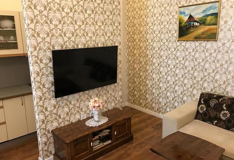 شقة ديلوكس غرفة واحدة, Centercity Apartments