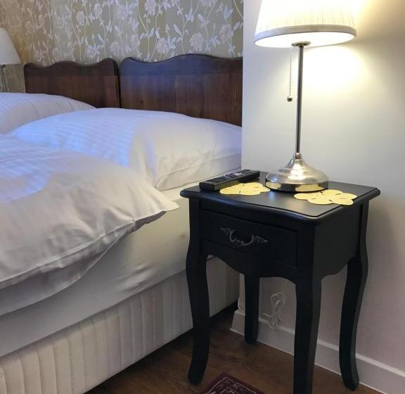 شقة ديلوكس غرفة واحدة, Centercity Apartments