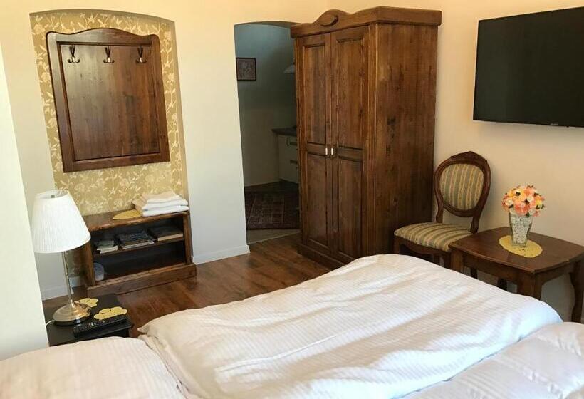 شقة ديلوكس غرفة واحدة, Centercity Apartments