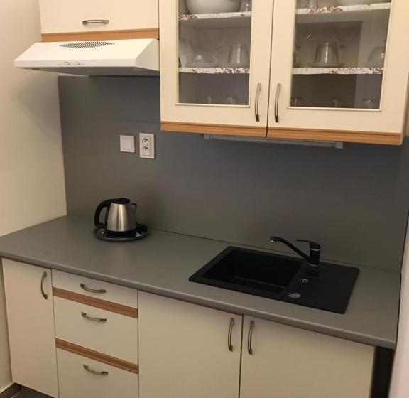 １ベッドルームのデラックスアパートメント, Centercity Apartments
