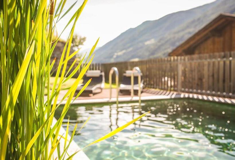 带1个卧室的高级公寓, Xl Appartements Steinhaus