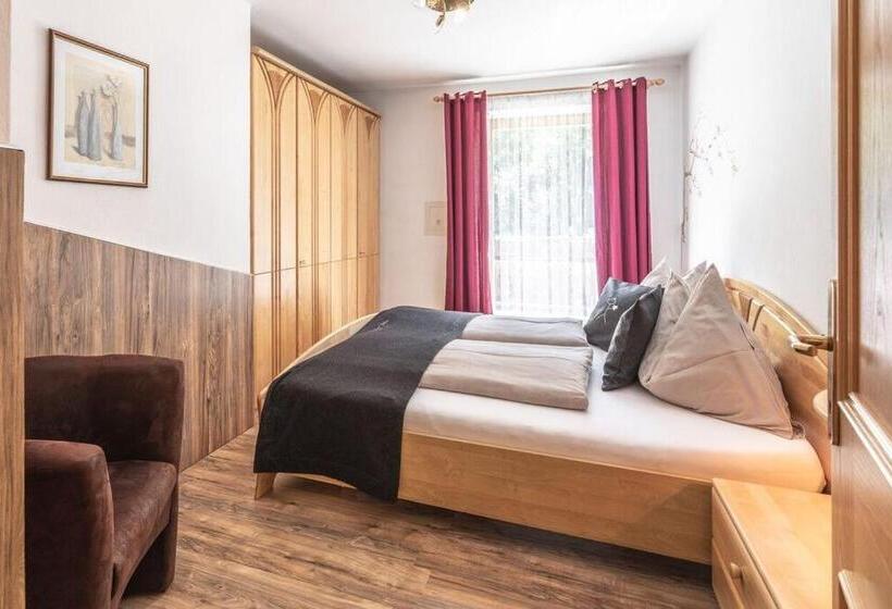 带1个卧室的高级公寓, Xl Appartements Steinhaus