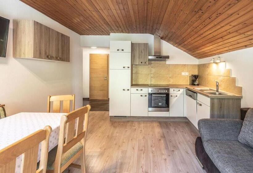 带1个卧室的高级公寓, Xl Appartements Steinhaus