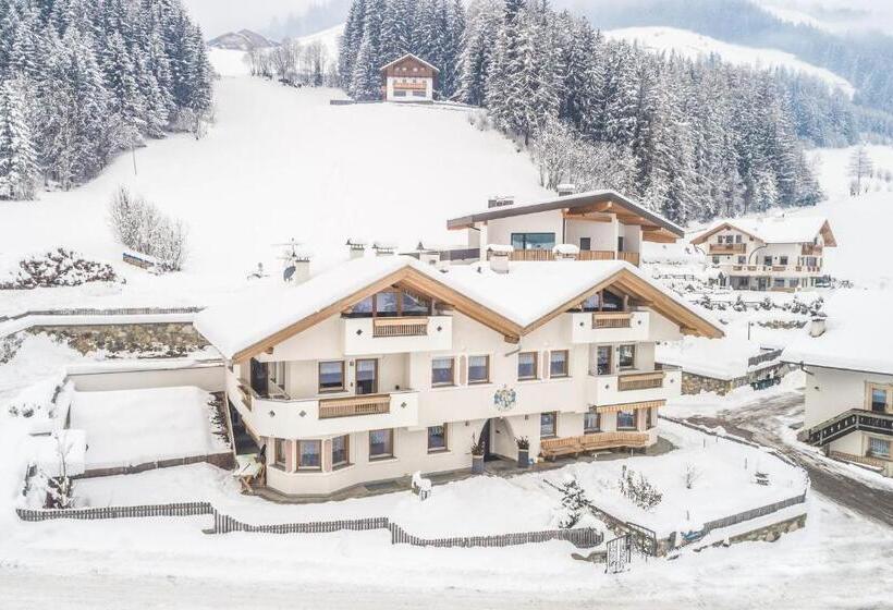 带3个卧室的公寓, Xl Appartements Steinhaus