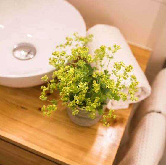 Номер Стандарт с Балконом, Landhaus Alger