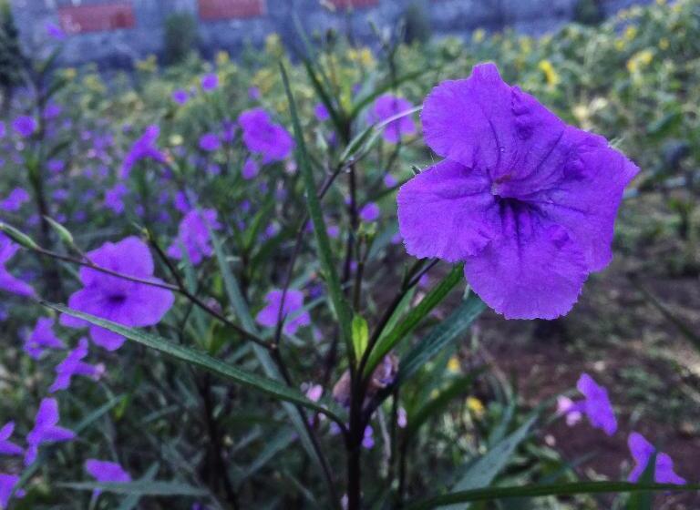 발코니 디럭스 룸, Keeree Loft Resort คีรีลอฟท์รีสอร์ท