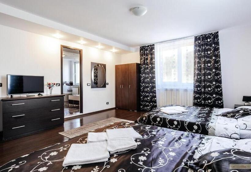 스탠다드 룸 킹사이즈 침대, Sweet Home Bucovina Frasin Petreceri Private Si Majorate