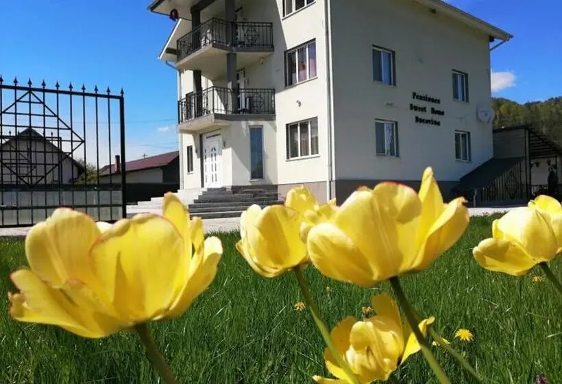 スリーベッドルーム　ヴィラ, Sweet Home Bucovina Frasin Petreceri Private Si Majorate